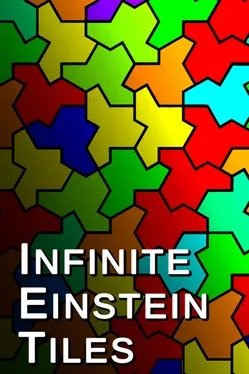 Portada de Infinite Einstein Tiles