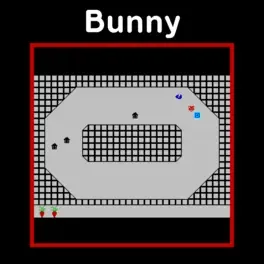 Bunny