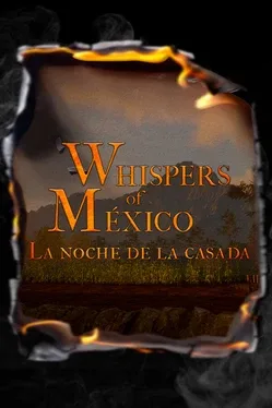 Whispers of Mexico: La Noche de la Casada game cover