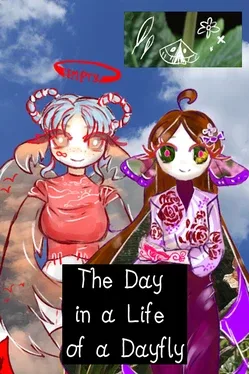 Portada de The Day in a Life of a Dayfly