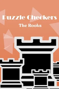 Puzzle Checkers: The Rooks