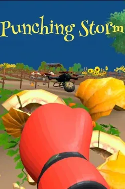 Portada de Punching Storm