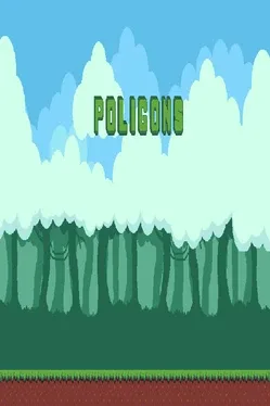 Portada de Poligons