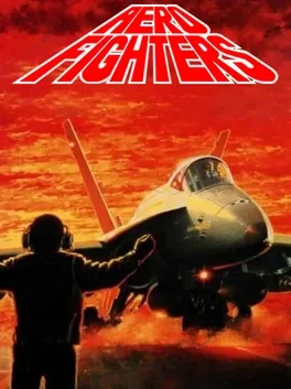 Aero Fighters image