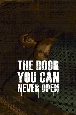 Portada de The door you can never open