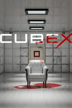 Image du jeu Cubex