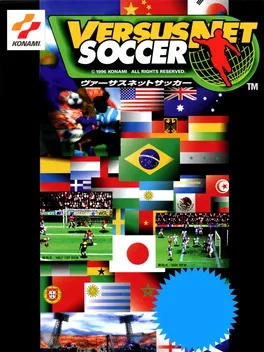 Versus Net Soccer