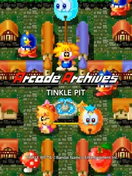 Arcade Archives: Tinkle Pit image