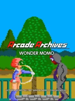 Arcade Archives: Wonder Momo image