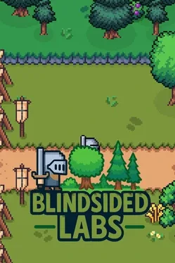 Portada de Blindsided Labs