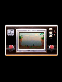 Turtle Bridge Cover