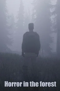Portada de Horror in the forest