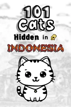 101 Cats Hidden in Indonesia game cover
