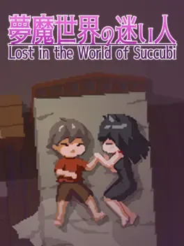 Lost in the World of Succubi