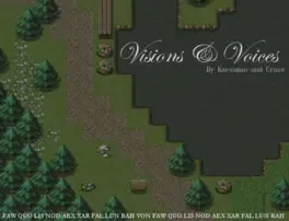 Image de couverture Visions & Voices