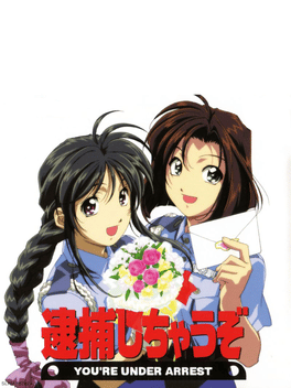 You're Under Arrest Cover