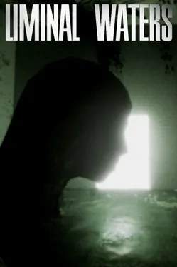 Portada de LIMINAL WATERS