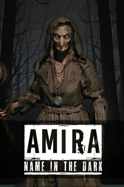 Amira: Name in the Dark Cover