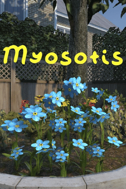 Myosotis Cover