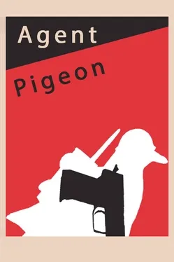 Agent Pigeon 7