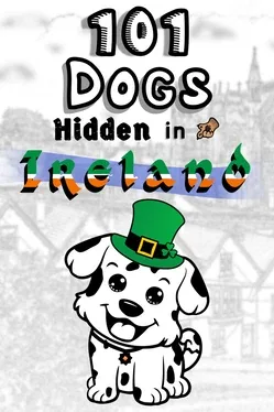 Portada de 101 Dogs Hidden in Ireland