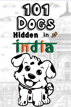 Portada de 101 Dogs Hidden in India