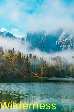 Wilderness