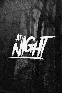 At Night game cover