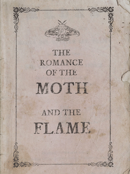 The Romance of the Moth and the Flame Cover