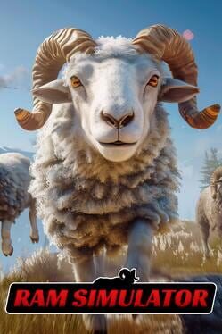 Ram Simulator