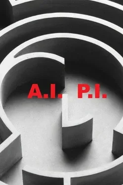 A.I. P.I.