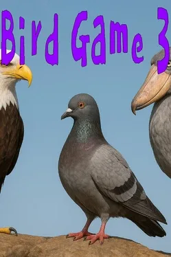 Bird Game 3