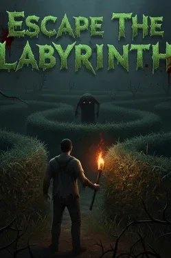 Escape The Labyrinth