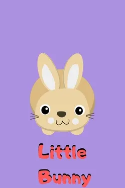 Little Bunny