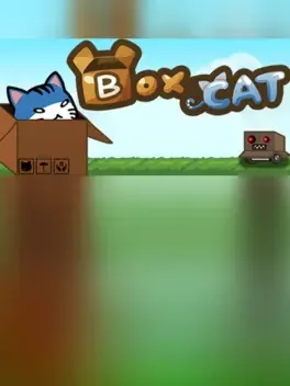 Box Cat