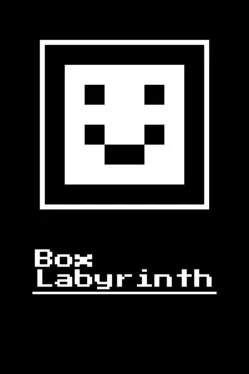 Box Labyrinth