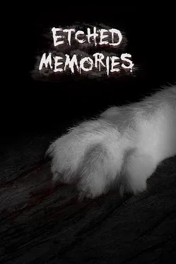 Etched Memories