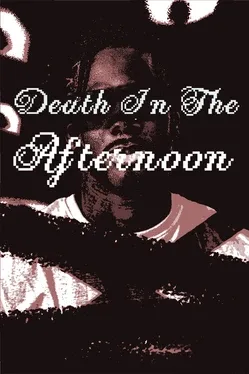 Death In The Afternoon