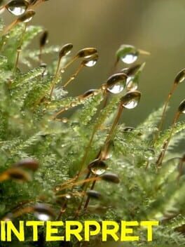 Interpret