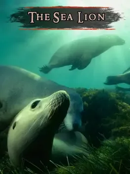 The Sea Lion