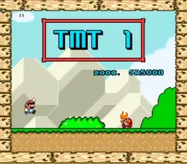 TMT 1
