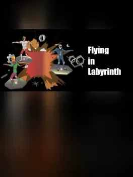 Flying in Labyrinth