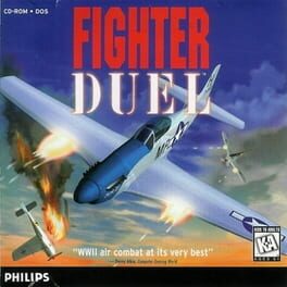 Fighter Duel