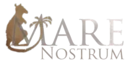 Mare Nostrum