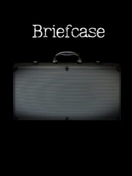 Briefcase