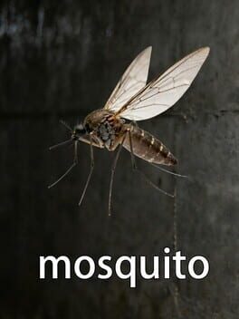 Mosquito
