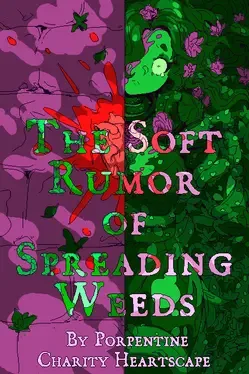 Image de couverture The Soft Rumor of Spreading Weeds