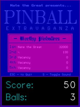 Jaquette de Pinball Extravaganza