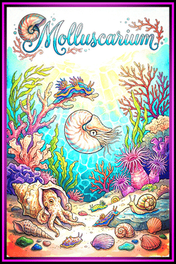 Molluscarium Cover