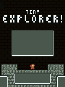 Tiny Explorer